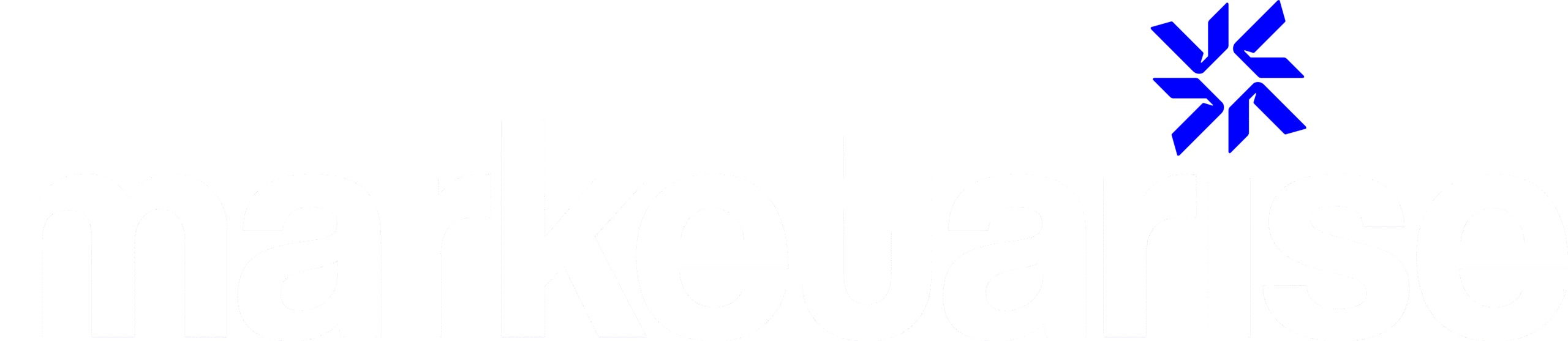 Marketarise Logo